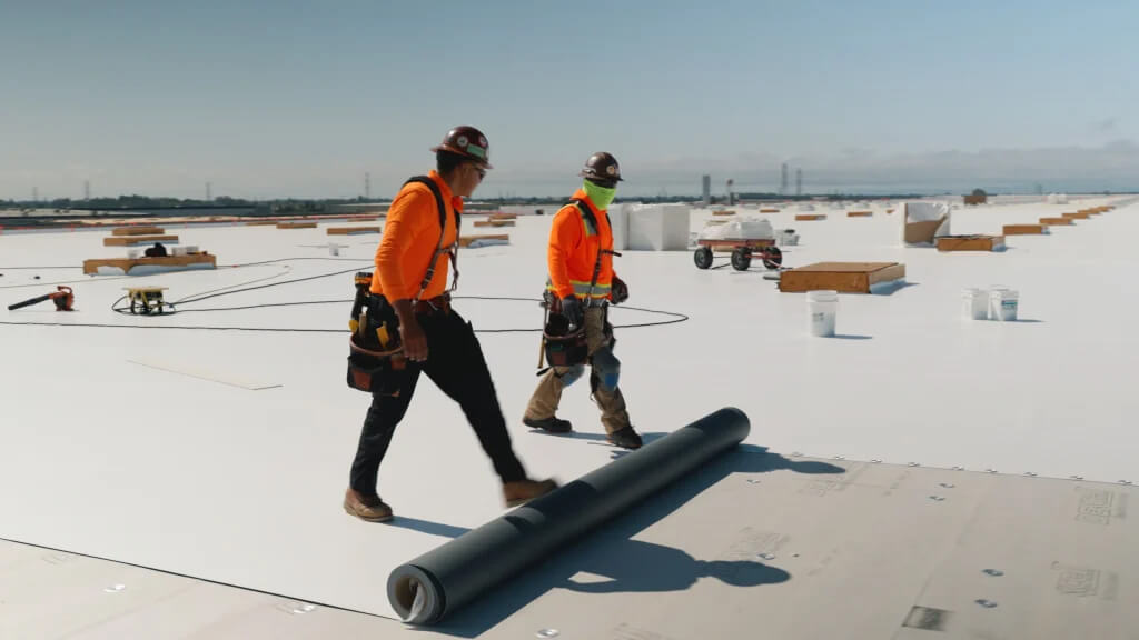 Roofers-apply-single-ply-new-roofing-system Roofers apply single-ply new roofing system on commercial roof