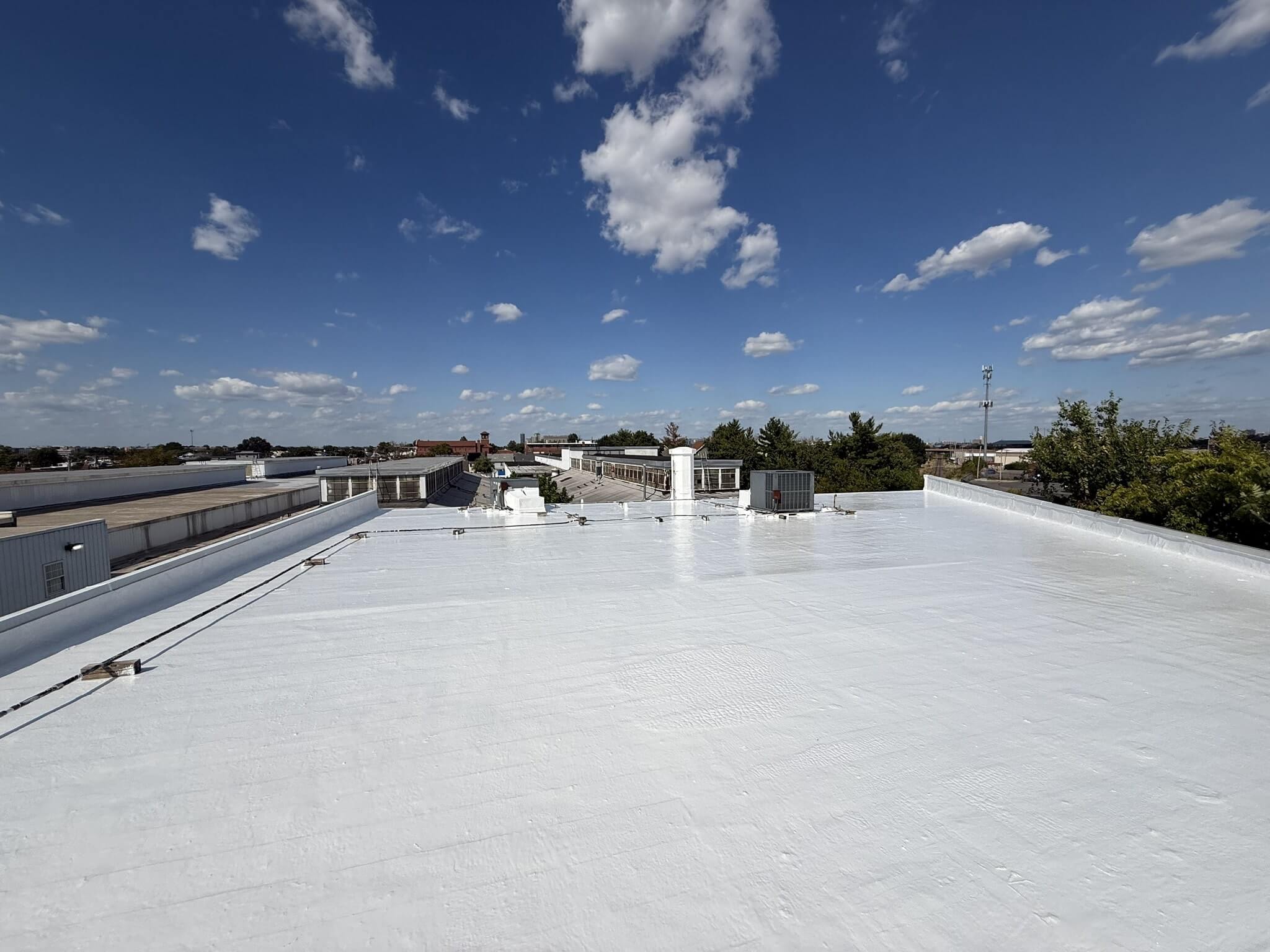 Commercial flat roof with white TPO surface under blue sky, ideal for flat roof maintenance and restoration.