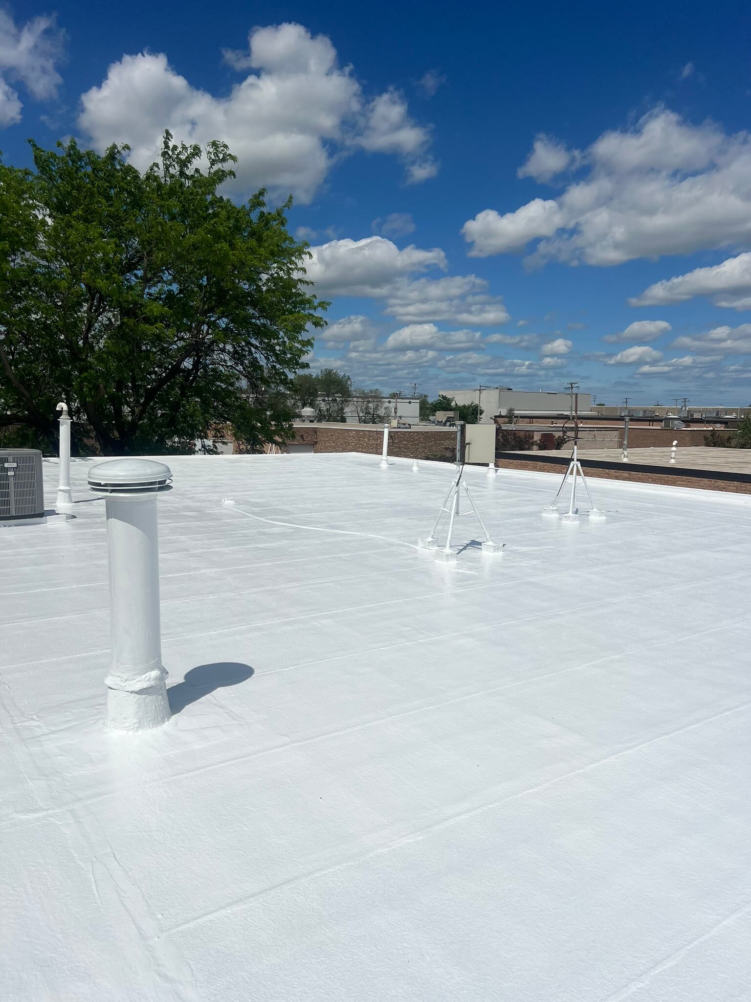 Commercial flat roof with vent pipes and TPO overlay, ideal for flat roof restoration.