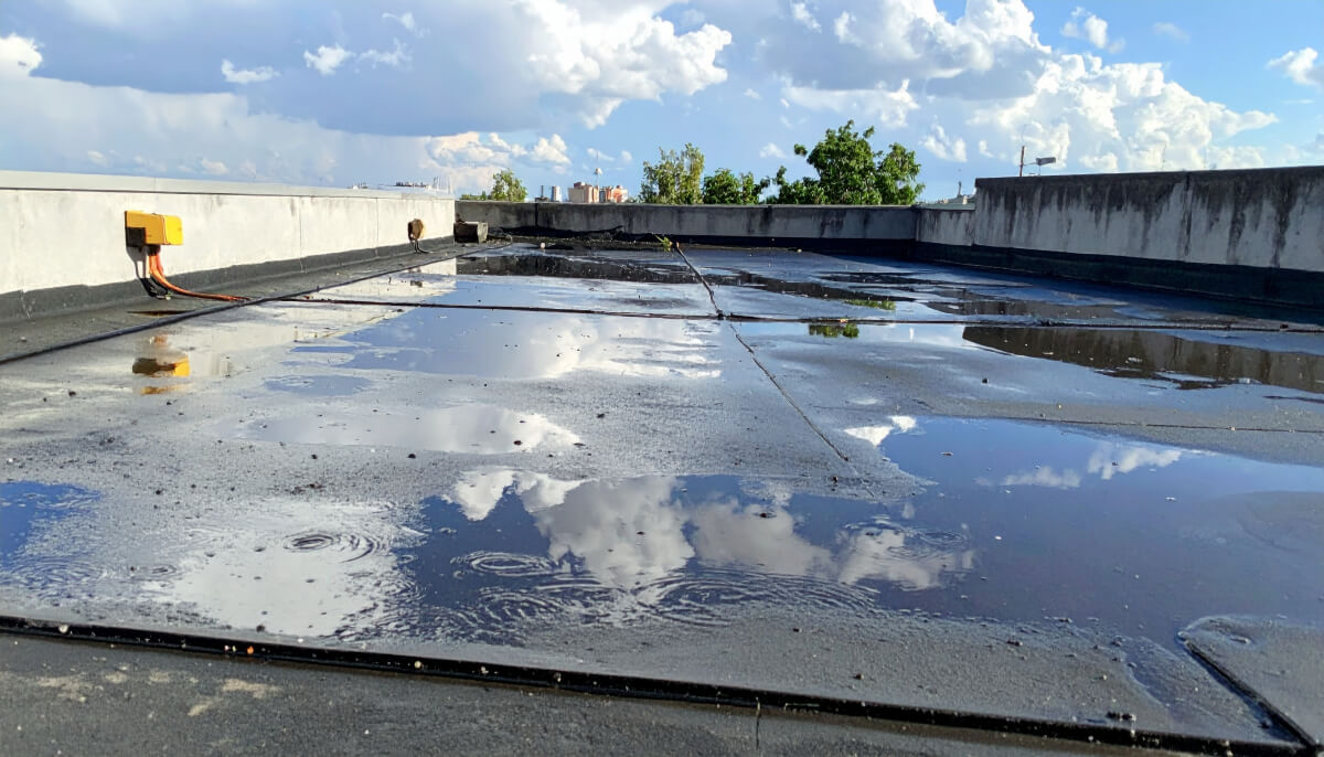 Ponding water on flat commercial roof indicating drainage issue